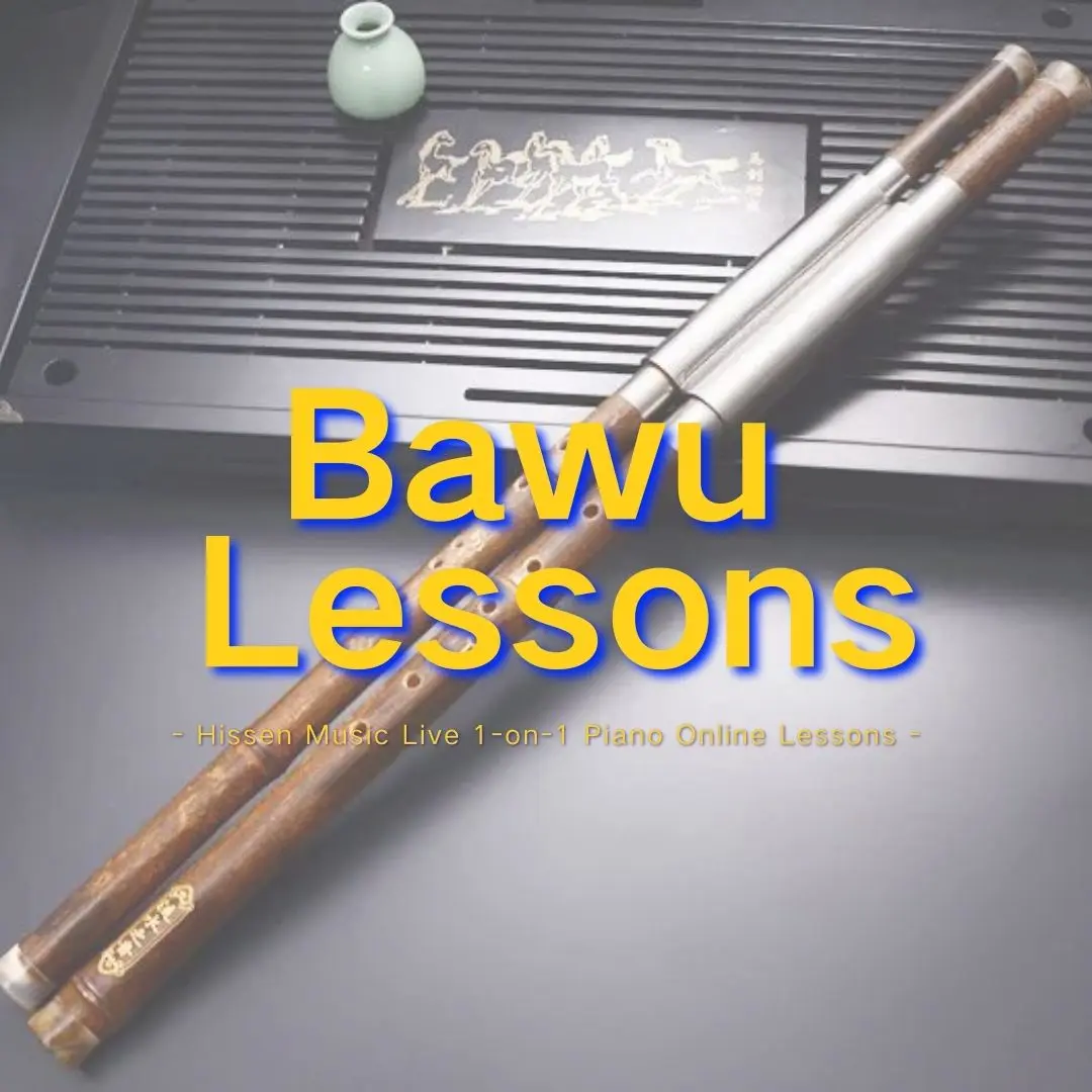 accordion lessons accordion lessons